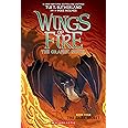 The Dark Secret (Wings of Fire Graphic Novel #4)