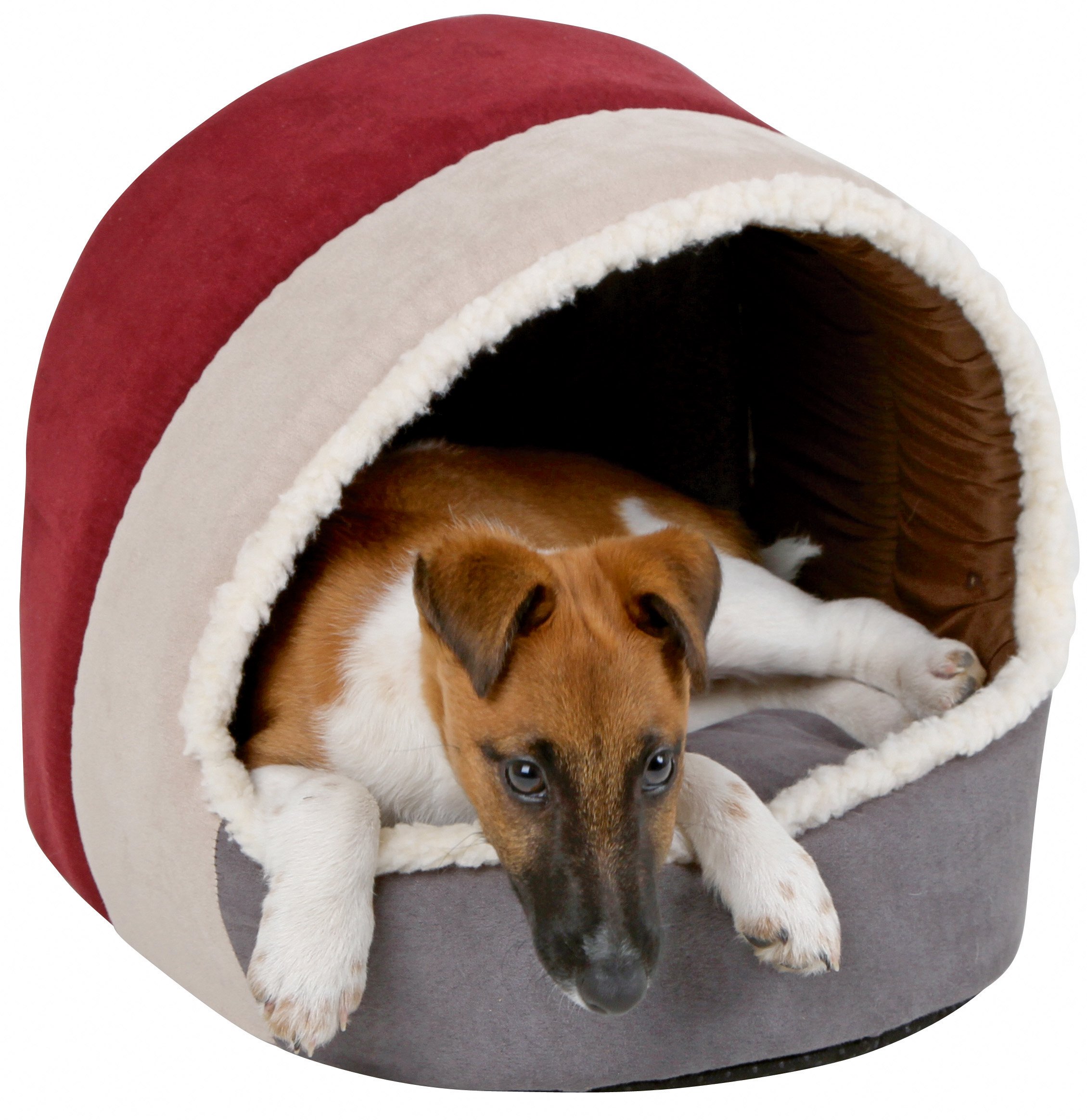 Kerbl, Accogliente Cuccia a Igloo Scamosciata Amelie, 35 cm x 33 cm x 32 cm, Bordeaux e Antracite Kerbl, Accogliente Cuccia a Igloo Scamosciata Amelie, 35 cm x 33 cm x 32 cm, Bordeaux e Antracite