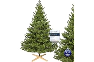 ‎TREESHOUSE Premium Künstlicher Weihnachtsbaum 180 cm Nordmanntanne [100% Spritzguss] Tannenbaum Künstlich inkl. FSC zertifiziertem Holzständer I Christmas Tree Made in EU