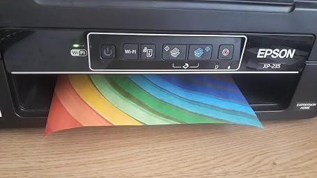 Amazon.es:Opiniones de clientes: ejet Cartucho de tinta compatible para  Epson 29XL 29 Expression Home XP-342 XP-245 XP-442 XP-235 XP-335 XP-432 XP-435  XP-332 XP-345 XP-247 XP-445 Multipack 4 negro/2 cian/2 magenta/2 amarillos.