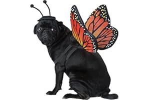 California Costumes COLLECTIONS Pet MONARCH BUTTERFLY Dog Costumes, Black/Orange, M Neck 14-16 Girth 20-24 Back 16 US