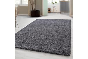 ‎CARPETSALE24 Carpetsale24 Shaggy Hochflor Teppich Läufer Flur 80 x 150 cm Grau - Weicher, Flauschiger Teppich Wohnzimmer – Moderner, Rutschfester Badezimmerteppich & Küchenläufer, Bettvorleger Schlafzimmer