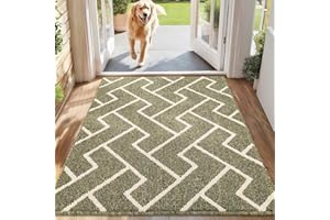 ‎BISCPRO Biscpro Schmutzfangmatte 80 x 100, Rutschfestigkeit Fußmatte,Maschine gewaschen Türmatte für Hund, Außen Innen Garten,Teppich,küchenteppich,Haustür