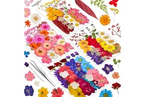 YoothBro 191PCS Vraie Nature Sec Gaufré Résine Moule, Sec Gaufré [apillon Transparent Autocollant DIY Bijoux Faire Pngles Carte Scrapbooking Art Craft décoration Blest
