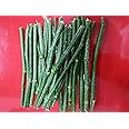 Timosha™ || KARANJ - Datun|Datwan|Chew-Stick (दातुन) || 15 pcs.