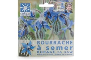 Radis et Capucine - Graines De Bourrache Comestible En Sachet