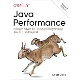 Java Performance: In-depth Advice for Tuning and Programming Java 8, 11, and Beyond