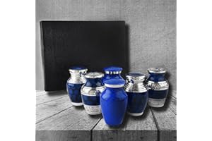 Bold & Divine Small Cremation Urns for Human Ashes | Set of 6 | 3 Cubic Inches | Mini Keepsakes with Velvet Case (Blue & Silver, Small Urns_Set of 6)