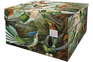 Dutch Design Brand Boîte de rangement avec couvercle – Boîtes de rangement – Carton recyclable certifié FSC (dimensions : 38,9 x 31,8 x 21,1 cm) (Art de la Nature)