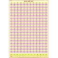 Barakhadi Hindi ( 70 x 100 cm ) | Laminated | Useful for Learning Hindi Language