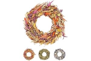 PHILARO Trockenblumenkranz All Seasons Ø 40cm Bunt - kein Plastik I Trockenblumen Premium Qualität aus Europa - Türkranz - Tischkranz - Wandkranz - Trockenblumenkranz