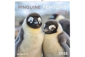 ‎ALPHA EDITION Alpha Edition - Pinguine Kalender 2026 – Broschürenkalender 30×30 cm (30×60 geöffnet) mit 12 Tiermotiven, Wandkalender mit Platz für Notizen, perfektes Geschenk für Tier- und Naturfreunde: Penguins