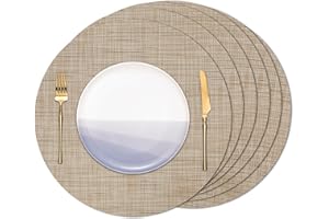 Banchif Manteles Individuales Redondos Manteles Individuales Juego de 6 Lavables Salvamantele Individuales Resistentes al Calor Antideslizante Diámetro 38 cm (Champán, Redondos Juego de 6)