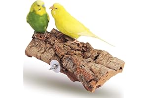 Vogelgaleria® Tolles Korksitzbrett groß für Vögel | Wellensittich Kork Sitzbrett 20x10 cm als perfektes Zubehör im Käfig | Kork Rinde ist EIN großartiges Spielzeug für Nymphensittich und Papagei