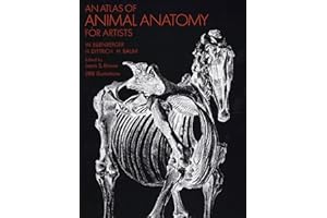 Atlas Of Animal Anatomy