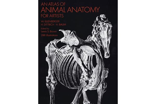 An Atlas of Animal Anatomy for Artists