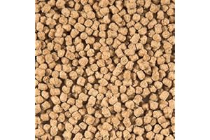 Velda sanikoi 124622 – Mangime Invernale FÃ ¼ R Stagno Pesci, affonda, 3 mm, Invernale whead Food, 3 L