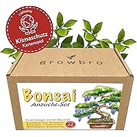 Bonsai – growbro - Wisteria Anzuchtset inkl. Klima-Karten, Züchte deinen eigenen Bonsai-Bro, Geschenke für Frauen und…