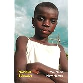 We Need New Names: From the twice Booker-shortlisted author of GLORY (Vintage Heroines)