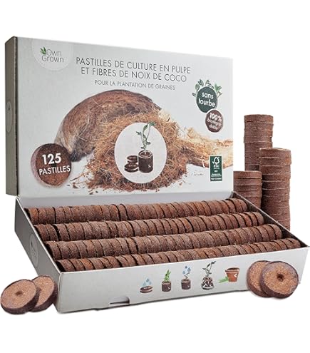 Come Utilizzare Palline Di Torba Per Le Istruzioni Di Coltivazione Delle Piantine Passo Versare O Compresse Cocco Con Acqua Bollita Image213090746 - Foto 8