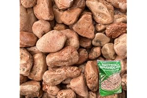 Zandobbio Galet de Marbre Rouge Vérone 25/40 Sac de 25 kg Sassi Pierres décor Jardin vases