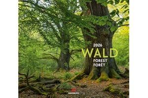 Wald Kalender 2026 | Hochwertiger Natur-Kalender im großen Querformat (54x48 cm) | Bäume und Pflanzenwelt im Wandel der Jahreszeiten
