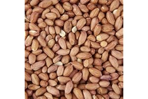 Garden Ting Premium Wild Bird Peanuts, 5kg