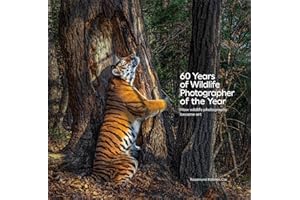 60 Years of Wildlife Photographer of the Year: How Wildlife Photography Became Art