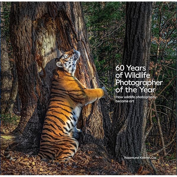 60 Years of Wildlife Photographer of the Year: How Wildlife