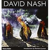 David Nash