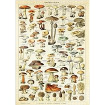 MyPuzzle Alaska Wale – 100-teiliges Premium-Puzzle Für Kinder Ab 6 Jahren (48x34 Cm)