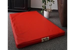 HUNDEBETTENMANUFAKTUR Matelas orthopédique pour chien - Hypoallergénique - Similicuir - Fibre de coco - Plusieurs tailles et couleurs