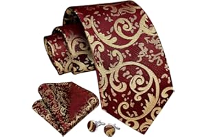 Enlision Cravatta Uomo Eleganti Paisley Floreale Set Cravatta e Fazzoletto Gemelli per Matrimonio Festa Cravatte e Pochette