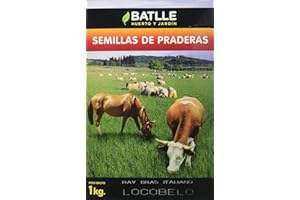 SEMILLAS BATLLE Semi di prato R.G. Certificato Italiano 1 Kg - Batlle