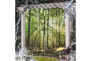 SK Studio Outdoor Vorhang Wetterfest, 2er Set Wasserdicht Sichtschutz Sonnenschutz mit Wasserfall-Walddruckmuster für Balkon Terrasse Veranda Stil 8, 210x230cm