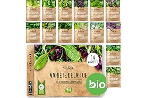 valeaf kit de graines de laitue I assortiment de semences prêt à pousser I 14 délicieuses variétés de laitue biologique I graines pour le jardin et potager