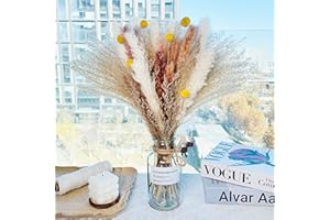 IS TYCONS Pampasgras Getrocknet Natürliche Trockenblumen Deko DIY Trockene Blüten Strauß,Pampasgras-Bouquet Schilfblume Deko Ideal for Boho Wohnzimmer-Schlafzimmer-und Vasen (56pcs)