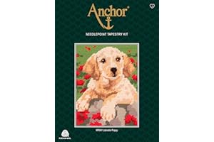 Anchor - Kit Ricamo per Principianti, Motivo: Labrador