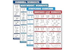 Palace Learning 4 Pack - Dumbbell Workouts + Bodyweight Workouts + Stretching Exercises + Resistance Loops - Set of 4 Workout Charts (18” x 24”, LAMINATED)