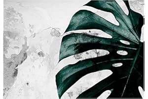 WALLARENA Carta Da Parati Fotografica Foglie Monstera Verde Tropicali - Include Colla - Moderna Design Carta per Pareti Soggiorno Camera Da Letto Sala Fotomurali In Tessuto Non Tessuto TNT (312x219 cm)
