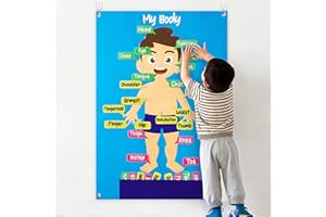 WATINC Juego de 85 piezas para el cuerpo de aprendizaje de fieltro de historias de 3,5 pies preescolar de órgano humano educativo de enseñanza narrativa de franela de aprendizaje temprano Kit