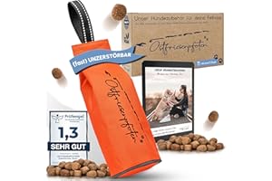 Ostfriesenpfoten® - Extremely Durable 'Enno' Feeding Bag | Without Metal Eyelets | Orange | Size L | Suitable for All Dog Breeds - Washable Food Dummy Including eBook for Your Agility Training