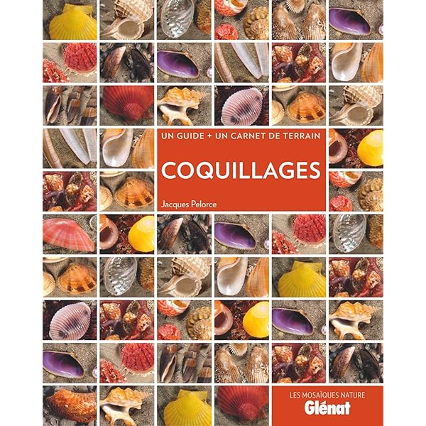 Guide Des Coquillages De L'Atlantique Et Du Golfe - Percy A. Morris - 1975
