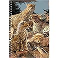 3D LiveLife A5 Notebook - Cheetah Clan from Deluxebase. 80 Page Lenticular 3D Cheetah Notebook. Superb School or Office Stationery