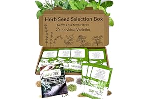 SIMPLYSEED Herb Seed Selection Box - 20 Premium Quality Seed Varieties with High Germination Rate. Natural, Sustainable & GMO Free. with Instruction Booklet, Perfect for Beginners or Experts. Packed in The UK