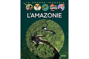 L'Amazonie