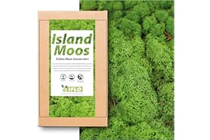 Inter Flowers Echtes Moos - Natur Dekomoos zum basteln in verschiedenen frischen Sorten - DIY - Islandmoos, Plattenmoos, Bollenmoos, Hügelmoos Sphagnum Moos (100g - Island Moos Grün)