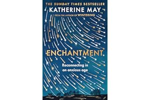 Enchantment: Reconnecting in an Anxious Age