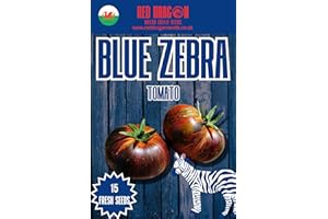 RED DRAGON SEEDS Blue Zebra Tomato Seeds - 15 Fresh Blue Zebra Tomato Seeds
