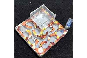 ANT GRAPE 140 * 140mm Grand Espace Camouflage AntHouse Fourmilière Insectes avec Alimentation en Eau et en Eau pour Fourmis en Direct Insectes Fourmis (Camouflage Autumn)